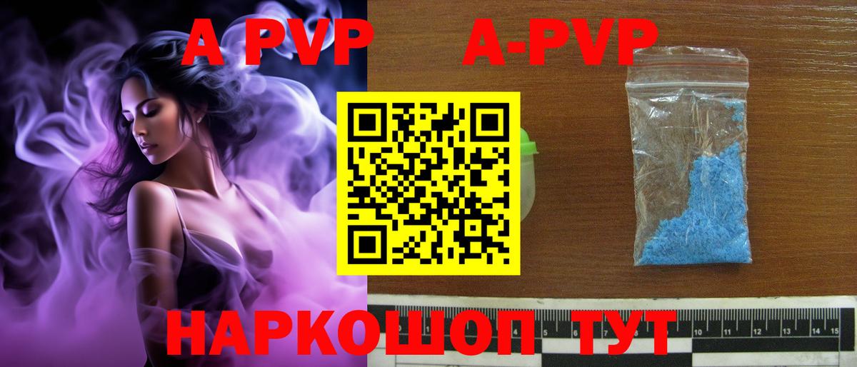 Alfa_PVP СК Калининград