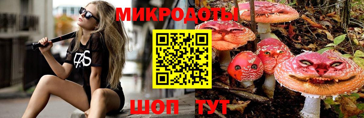 Галлюциногенные грибы ЛСД  Вход с VPN  Псилоцибиновые грибы MAGIC MUSHROOMS  Калининград 